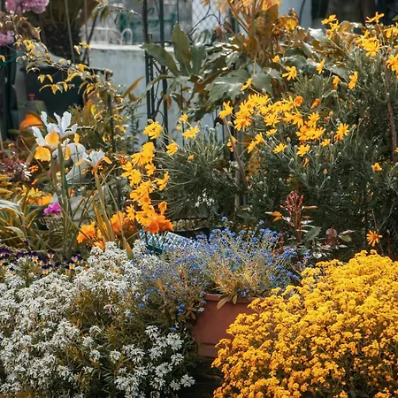 Cosy Klara Апартаменти *